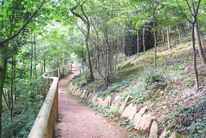 tai4s019.JPG