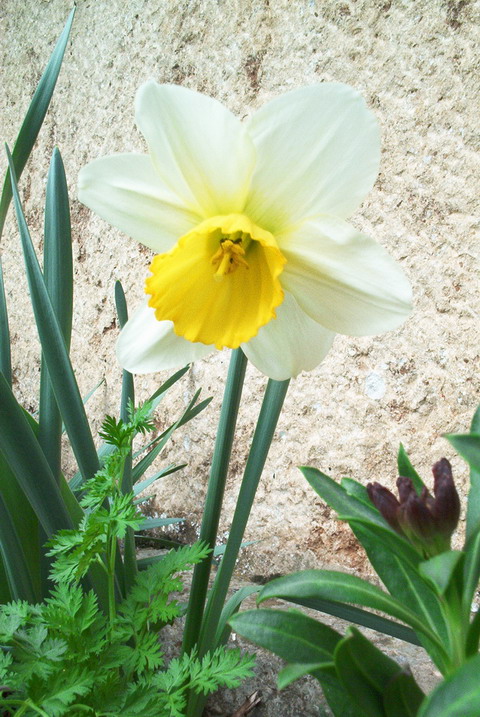 taist05048.jpg