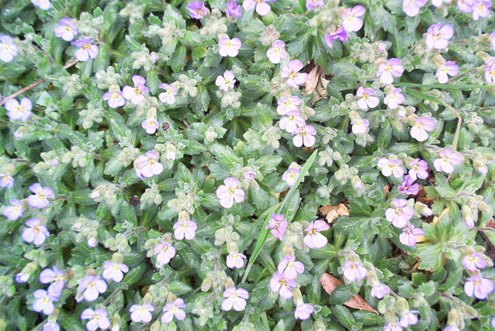 taist05074.jpg