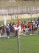 lor7037