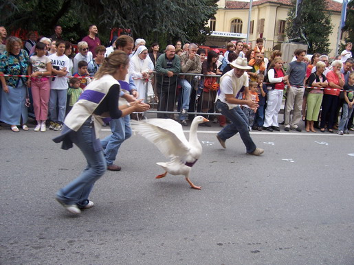 oche0623