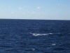 syd08_0922