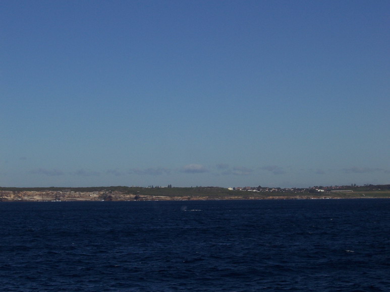 syd08_0899