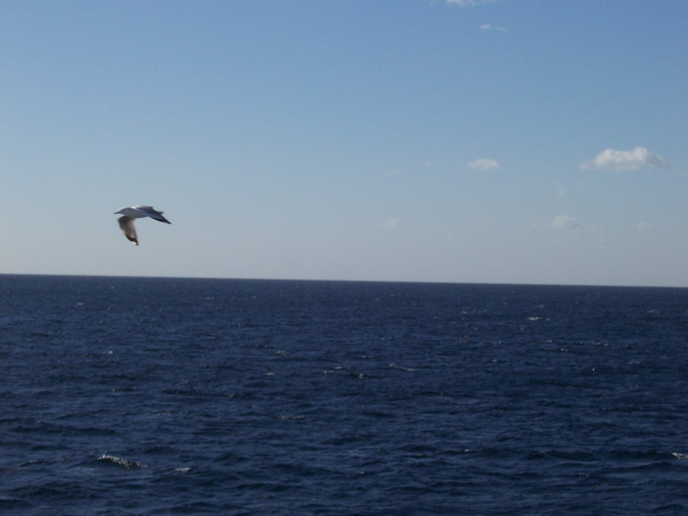syd08_0918